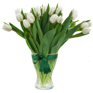 Home import placeholder for 12489