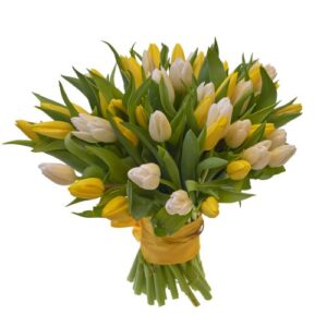 Home import placeholder for 12492
