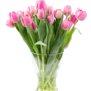 Home import placeholder for 12496